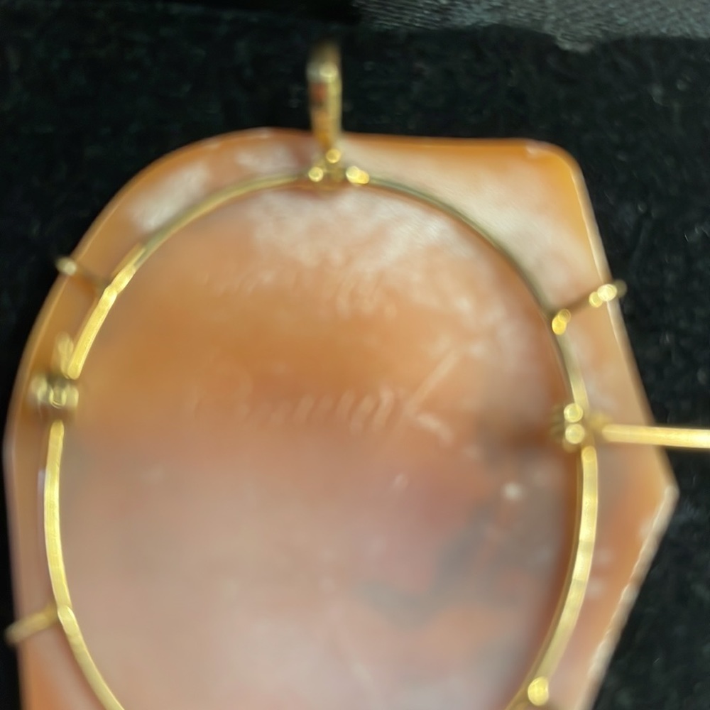 Gorgeous cameo pin/pendant - Picture 5 of 7